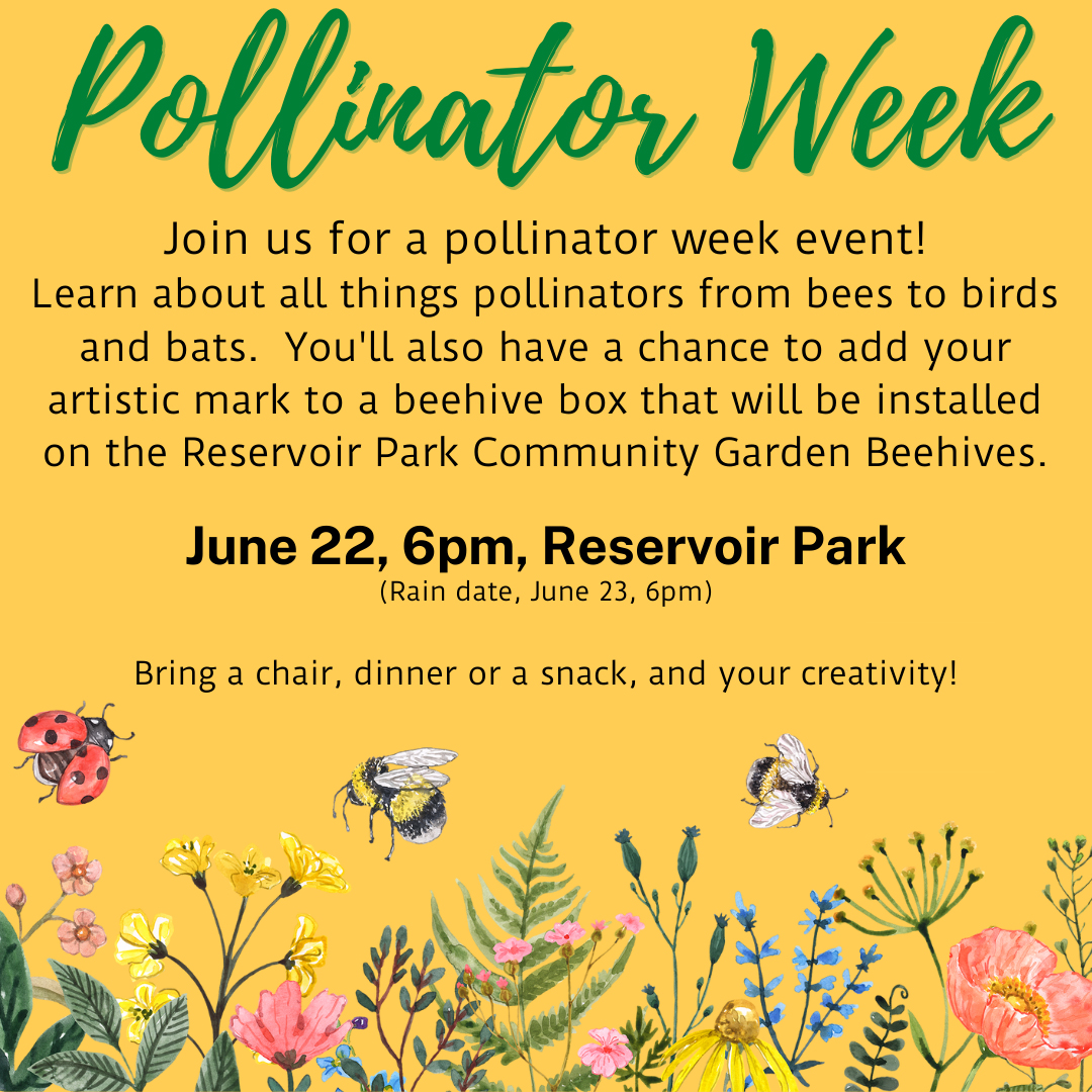 Pollinator Week 2022 – Phoenixville Honey